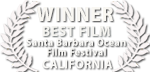 liquid motion film awards california